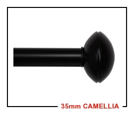 35mm Camellia